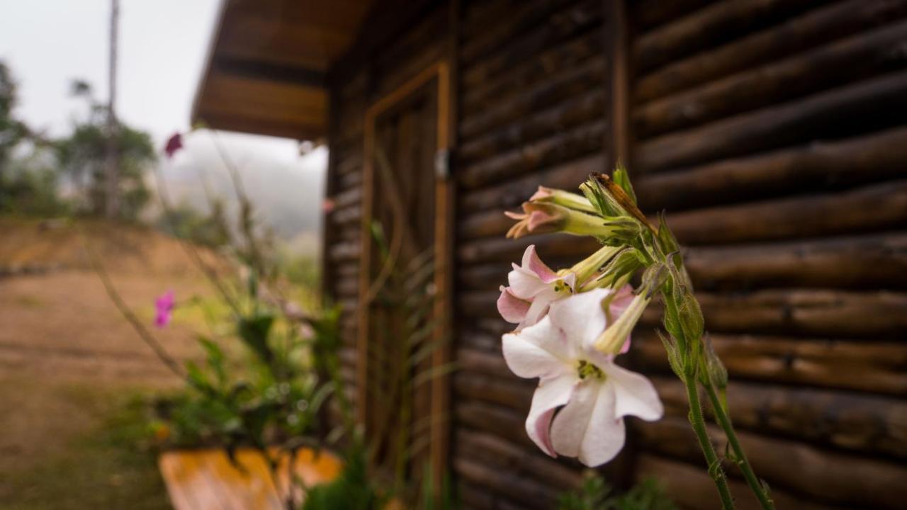Finca Las Huellas: Cabana Acogedora En La Montana Villa Estrella Eksteriør billede